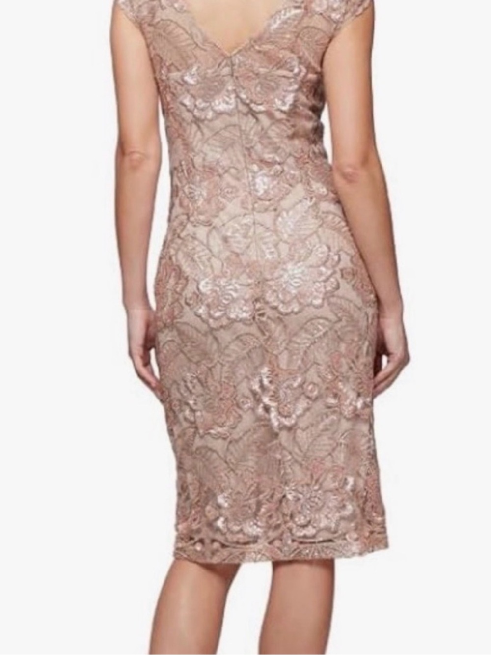 Alex Evenings Rose Gold Lace Sequin Midi Dress - Picture 6 of 15